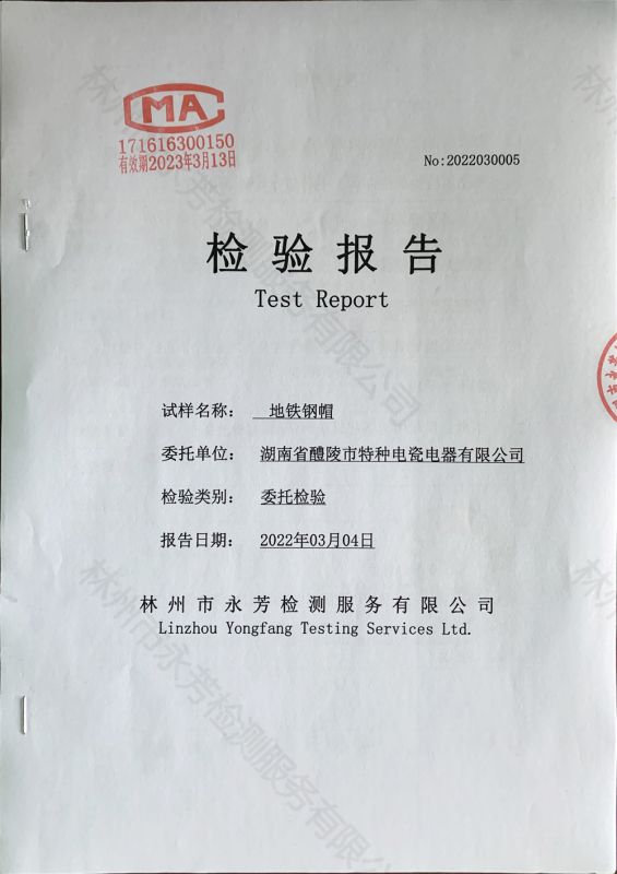 检测报告